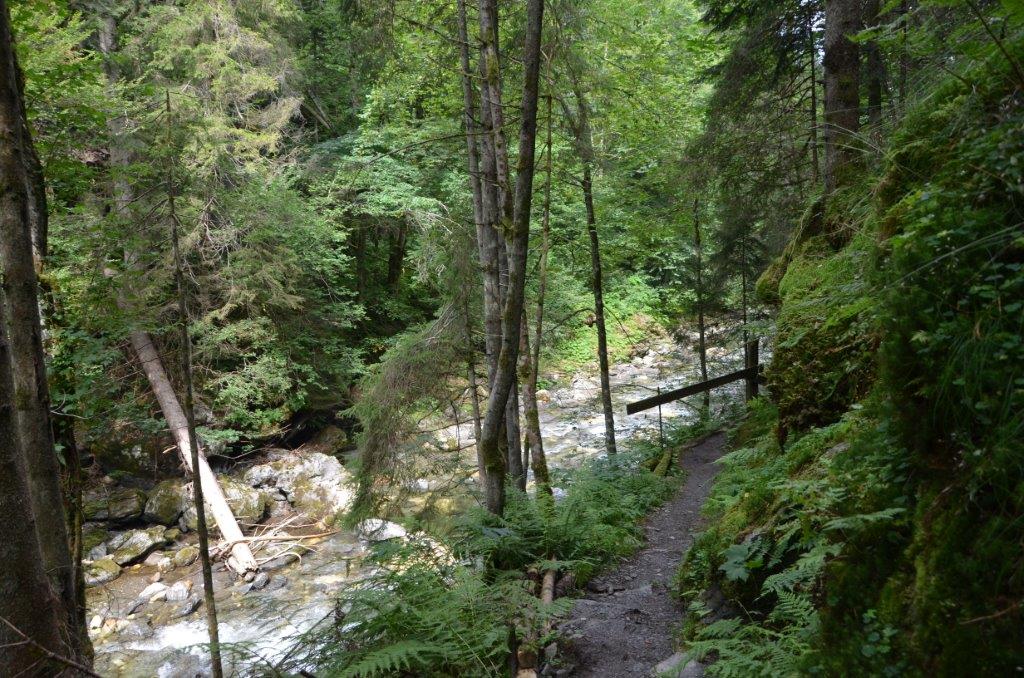 Donnersbacher Klamm 2